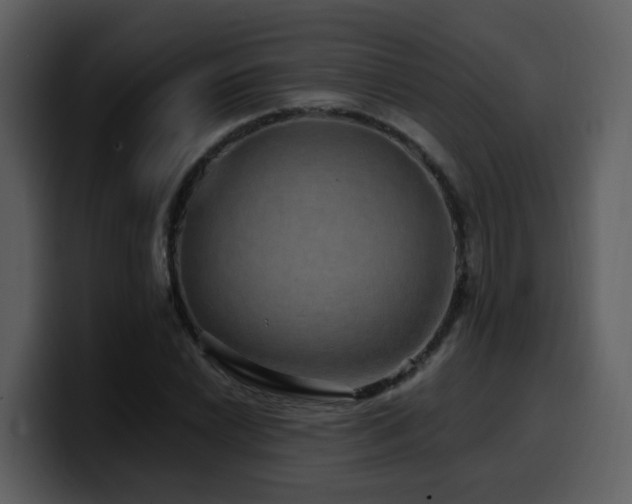 X0000100781022200806191258