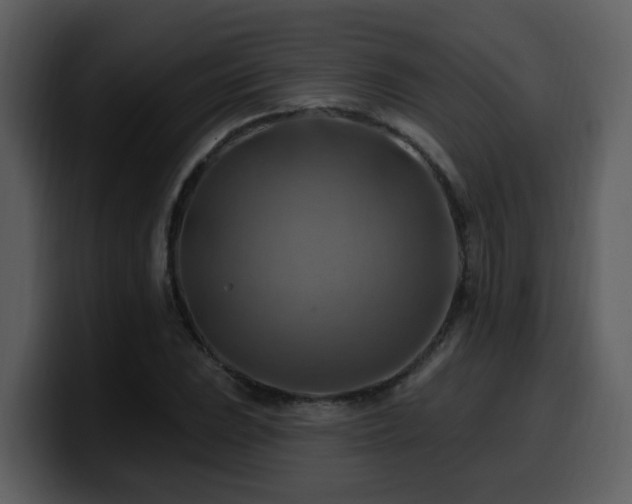 X0000100781023200806191258