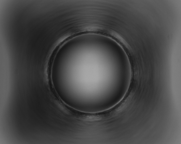 X0000100781026200806191258