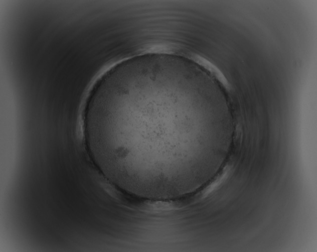 X0000100781027200806191258