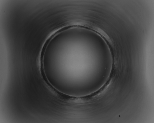 X0000100781028200806191258