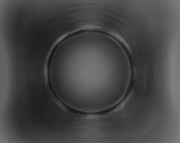 X0000100781029200806191258