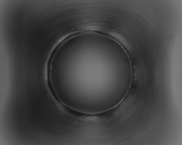 X0000100781031200806191258