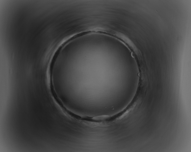 X0000100781032200806191258