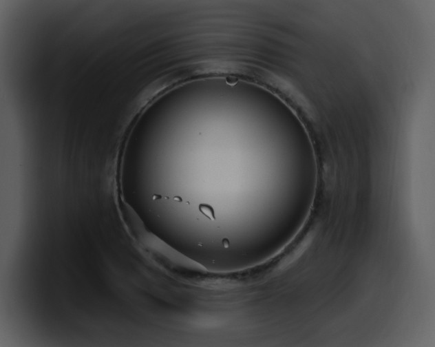 X0000100781033200806191258