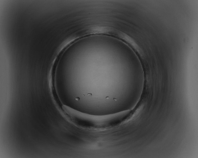 X0000100781034200806191258