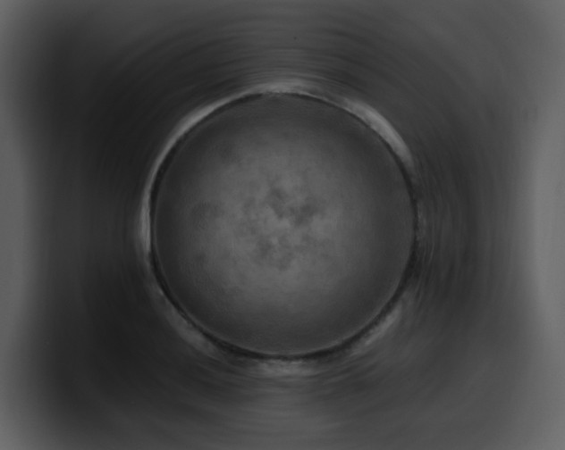 X0000100781036200806191258