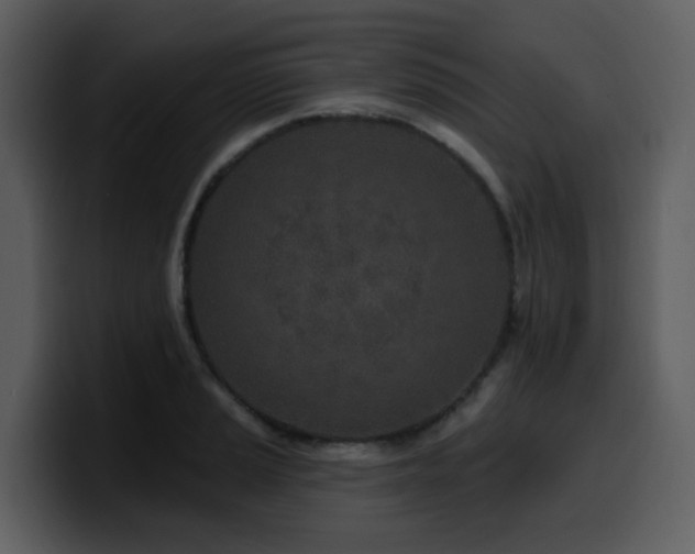 X0000100781037200806191258