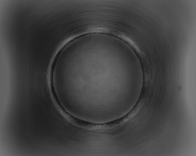 X0000100781038200806191258