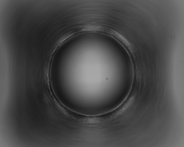 X0000100781041200806191258