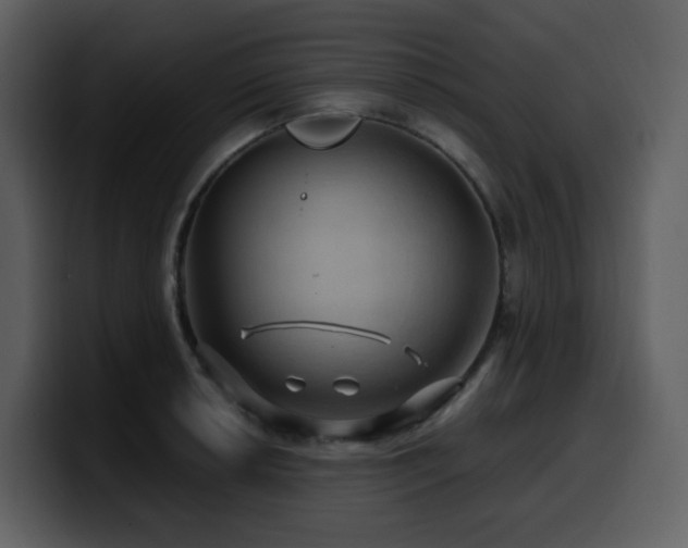 X0000100781042200806191258