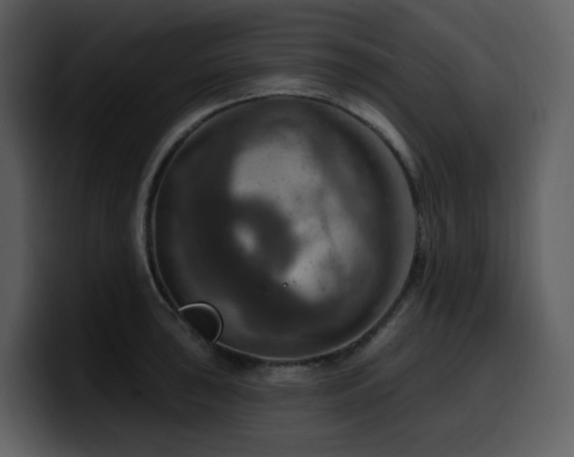 X0000100781043200806191258