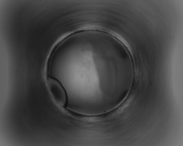 X0000100781045200806191258