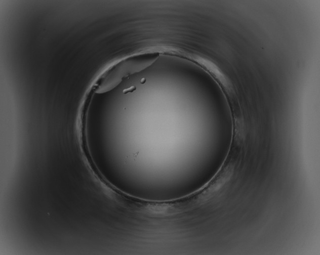 X0000100781046200806191258