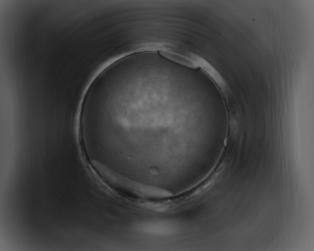 X0000100781052200806191258