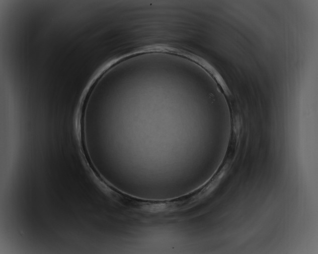 X0000100781054200806191258