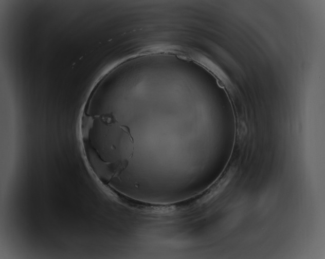 X0000100781055200806191258