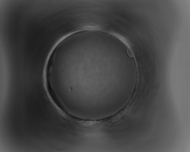 X0000100781056200806191258