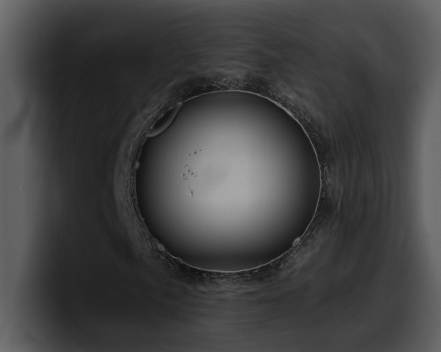 X0000100781057200806191258