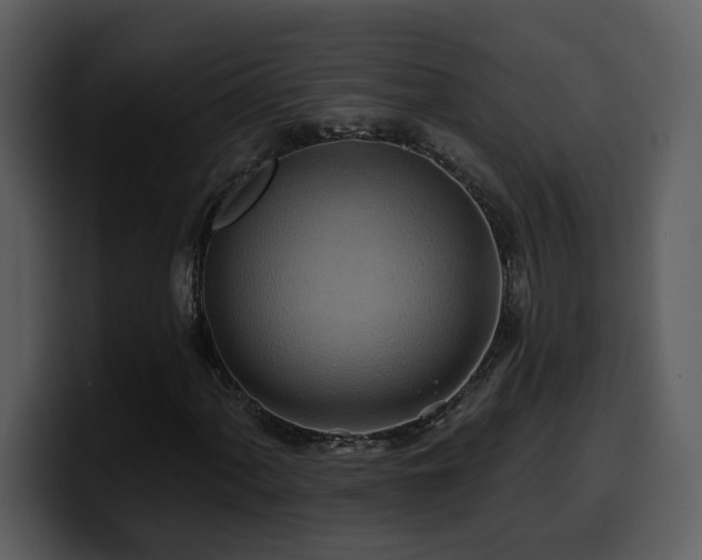 X0000100781060200806191258