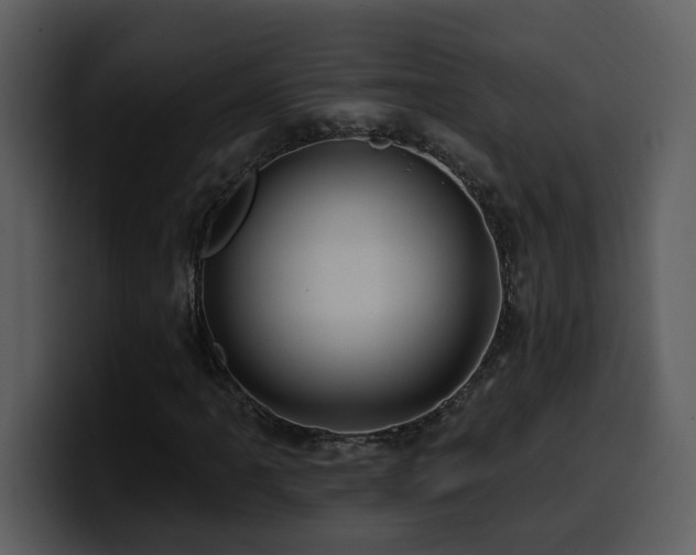 X0000100781061200806191258