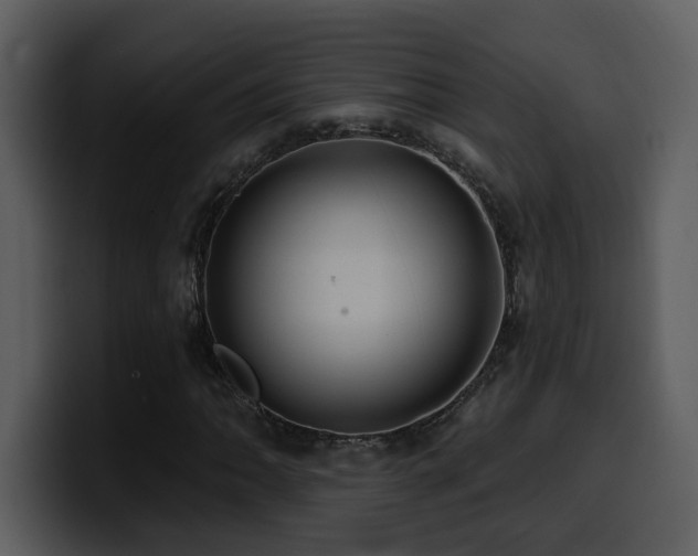 X0000100781062200806191258