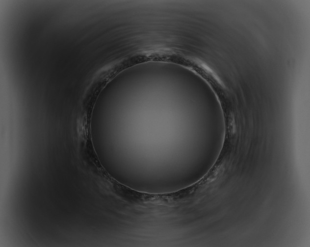 X0000100781063200806191258