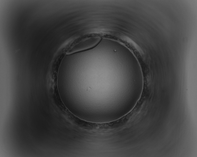 X0000100781064200806191258