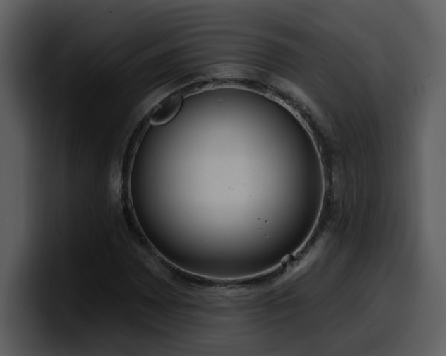 X0000100781065200806191258