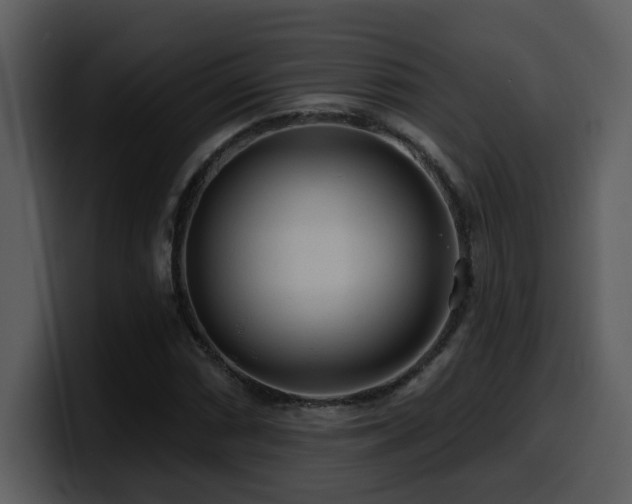 X0000100781066200806191258