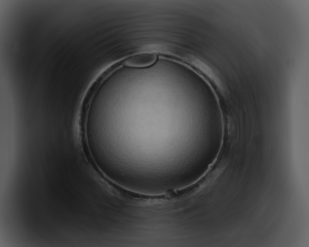 X0000100781068200806191258