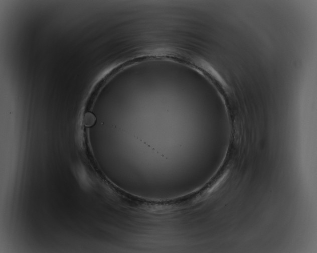 X0000100781071200806191258