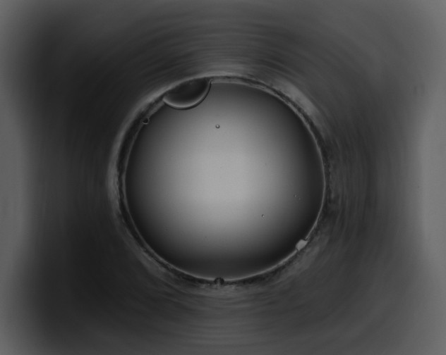 X0000100781072200806191258