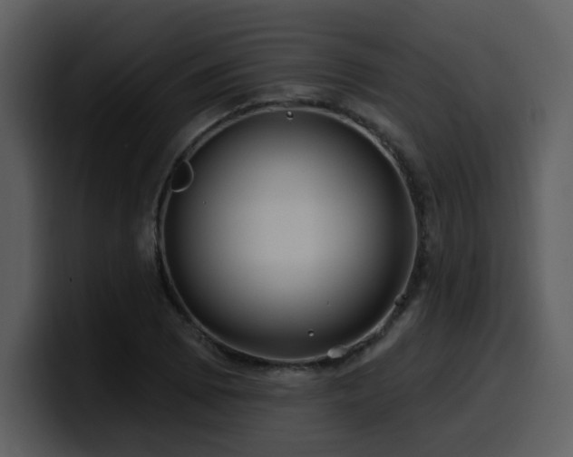 X0000100781073200806191258