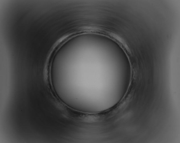 X0000100781074200806191257