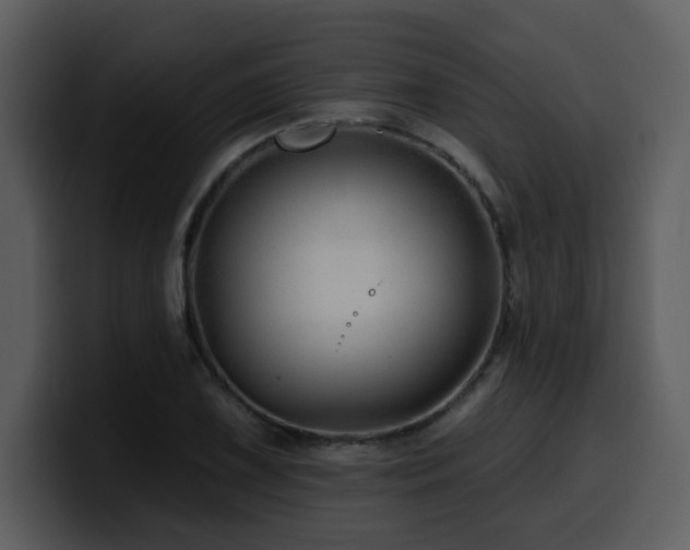 X0000100781075200806191257