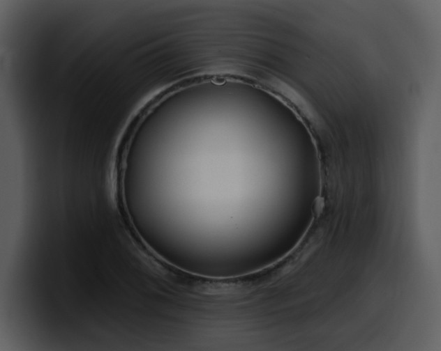 X0000100781076200806191257