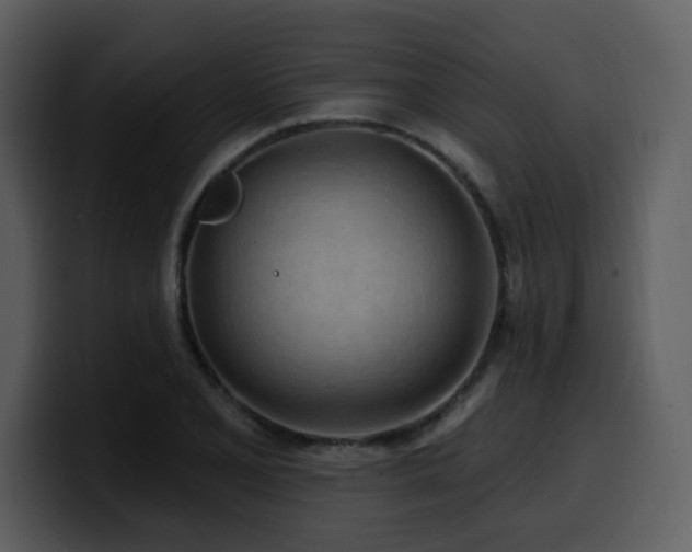 X0000100781077200806191257