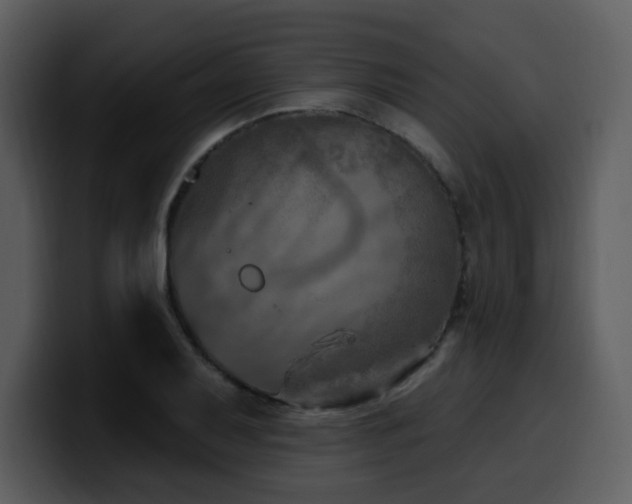 X0000100781079200806191257