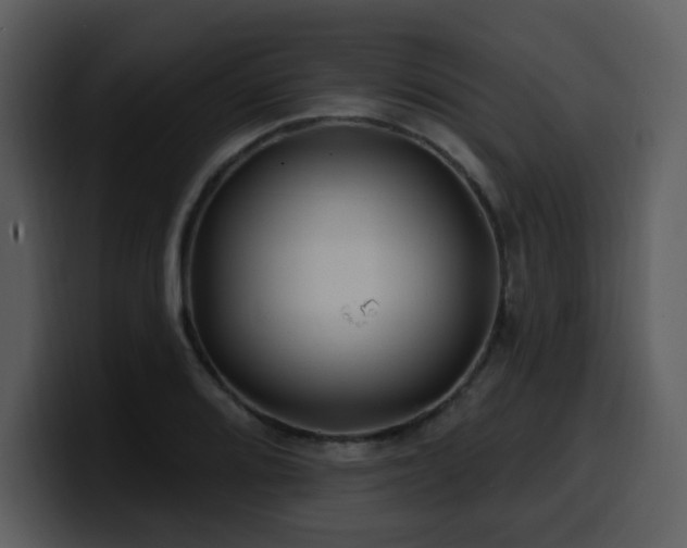 X0000100781080200806191257