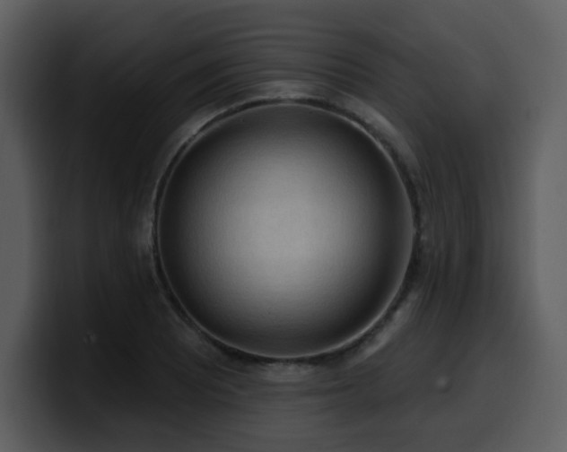 X0000100781081200806191257