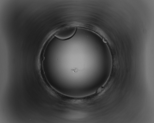 X0000100781082200806191257