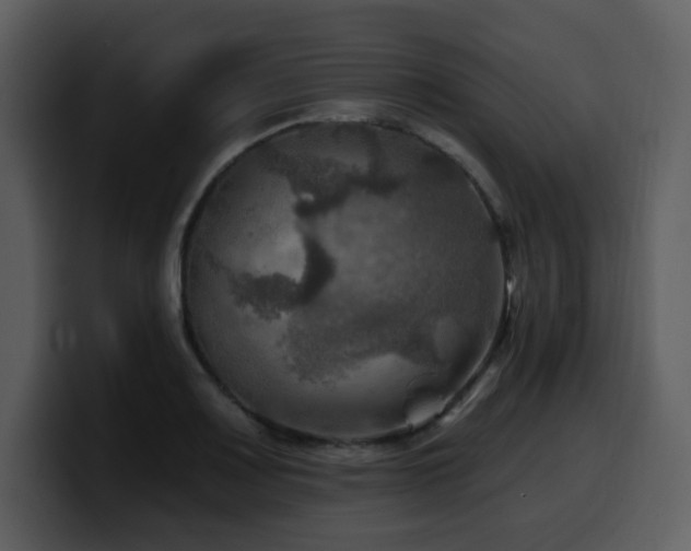 X0000100781083200806191257