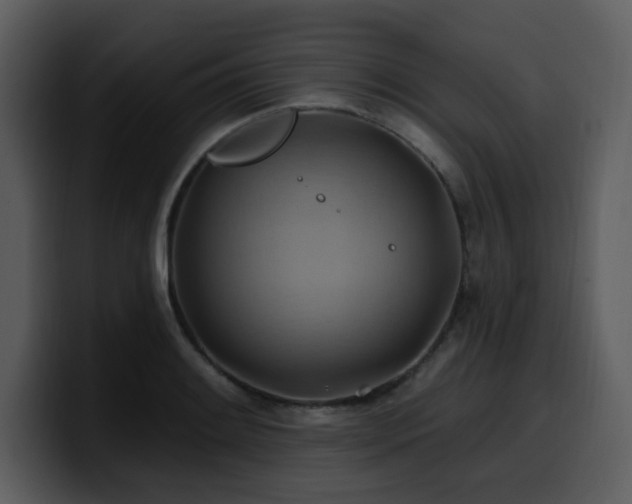 X0000100781084200806191257