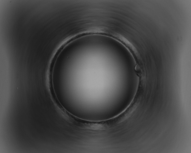 X0000100781085200806191257