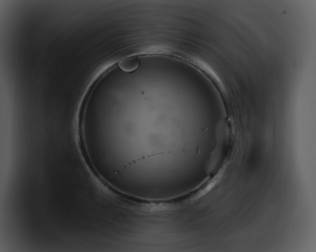 X0000100781087200806191257