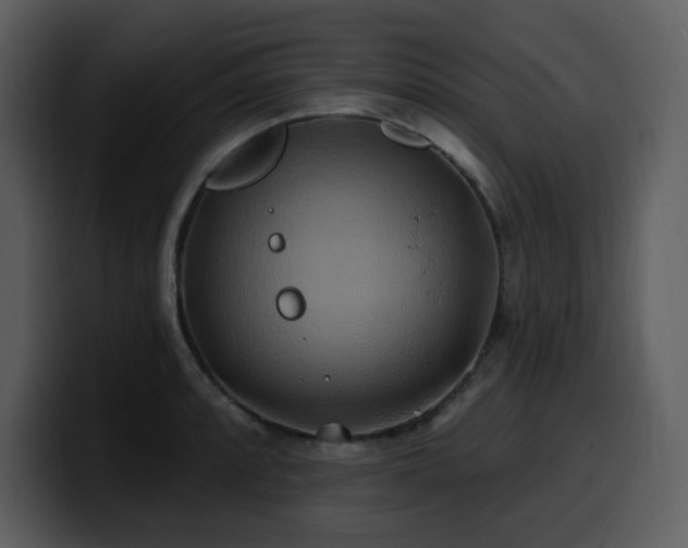 X0000100781088200806191257