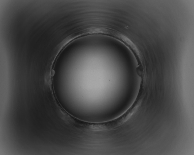 X0000100781089200806191257