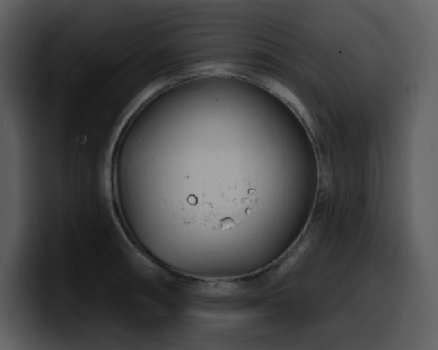 X0000100781090200806191257