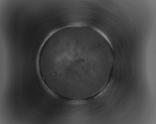 X0000100781091200806191257